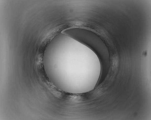 X0000113530284200909181007