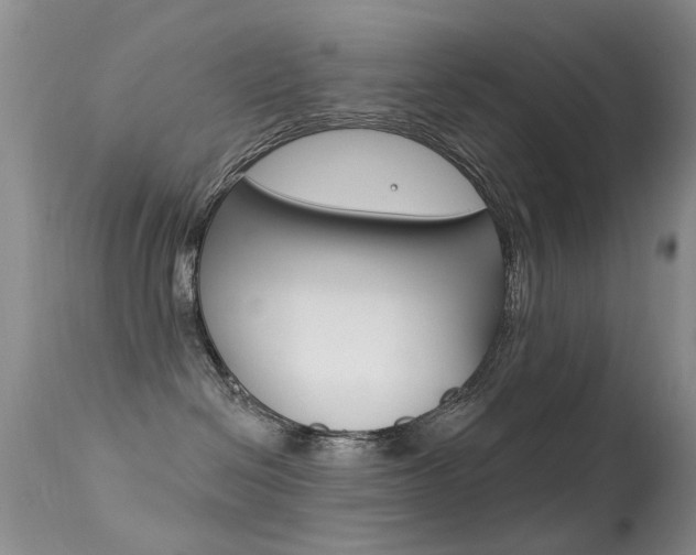 X0000113530286200909181007