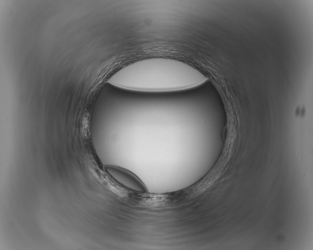 X0000113530288200909181007