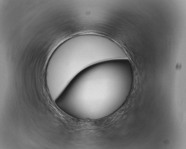 X0000113530289200909181006