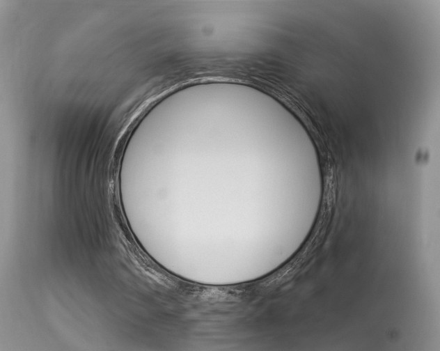 X0000113530290200909181006