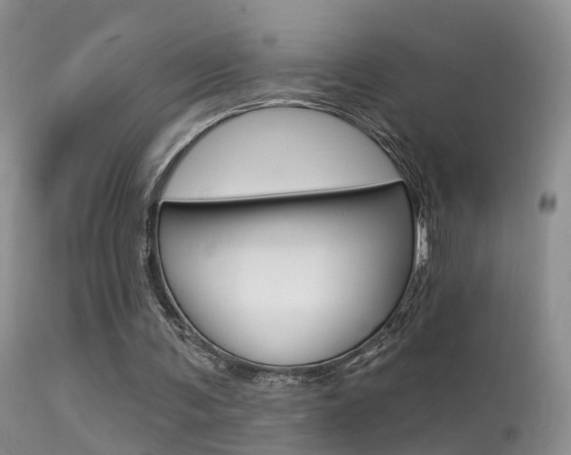 X0000113530291200909181006