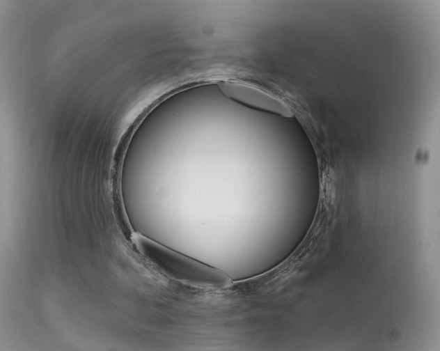 X0000113530292200909181006
