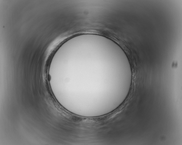X0000113530294200909181006
