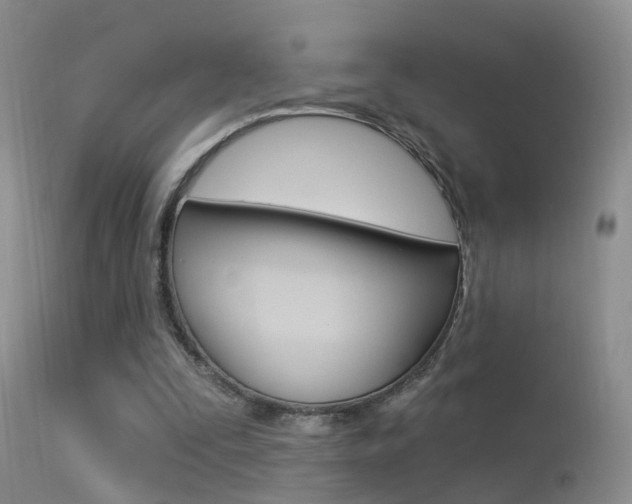 X0000113530295200909181006