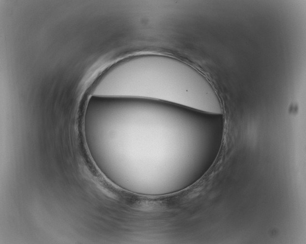X0000113530296200909181006