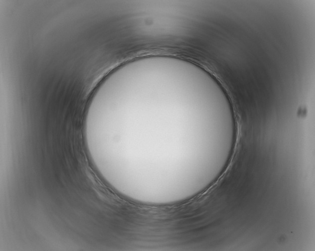 X0000113530297200909181006