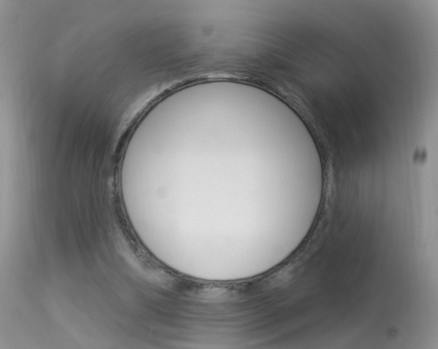 X0000113530298200909181006
