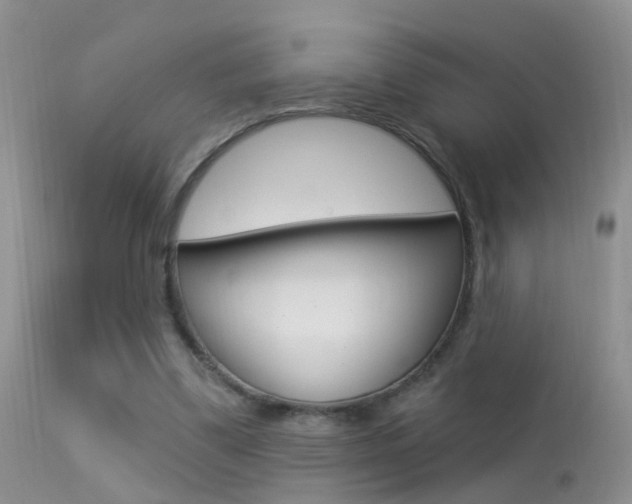 X0000113530299200909181006