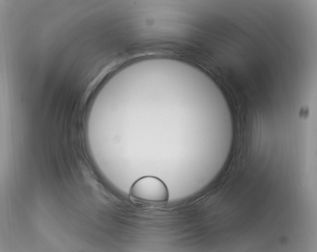 X0000113530300200909181006