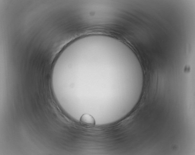 X0000113530301200909181006