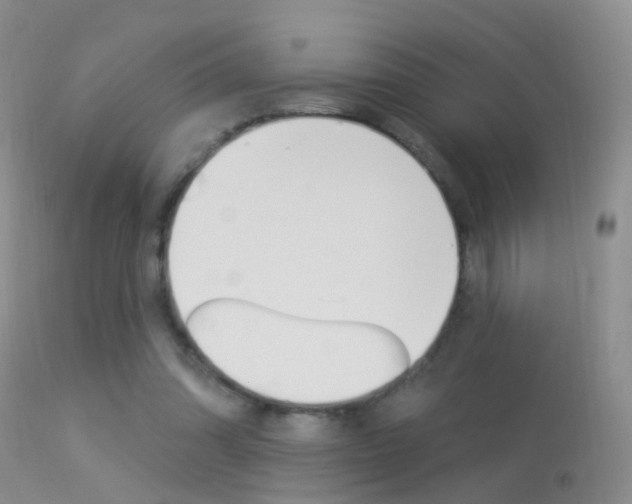X0000113530302200909181006