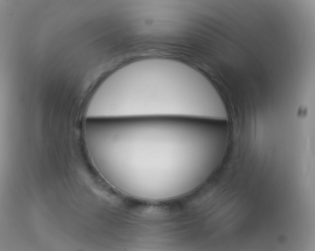 X0000113530303200909181006