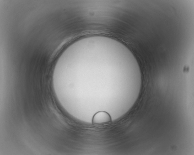 X0000113530304200909181006