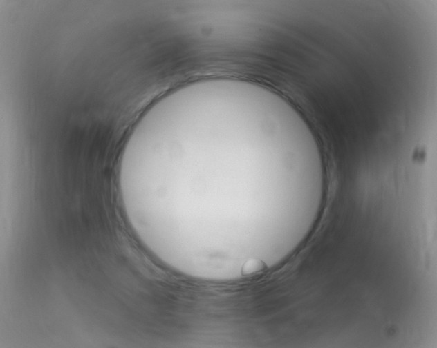 X0000113530305200909181006
