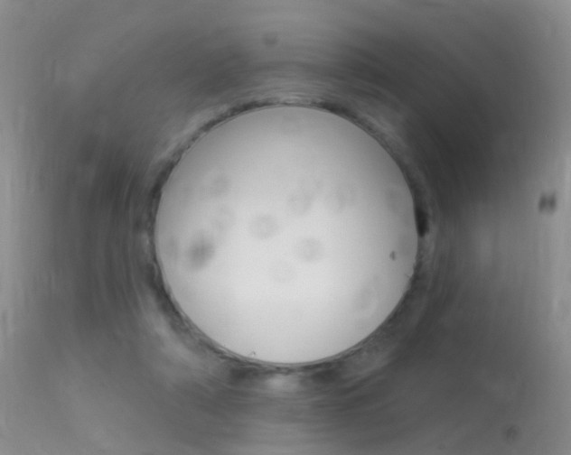 X0000113530306200909181006