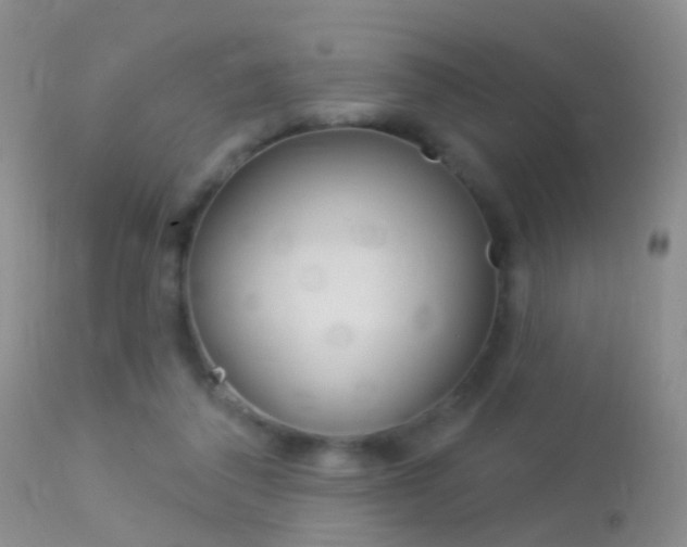X0000113530308200909181006