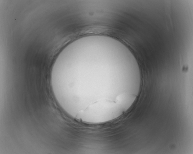 X0000113530309200909181006