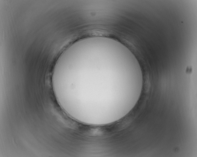 X0000113530310200909181006