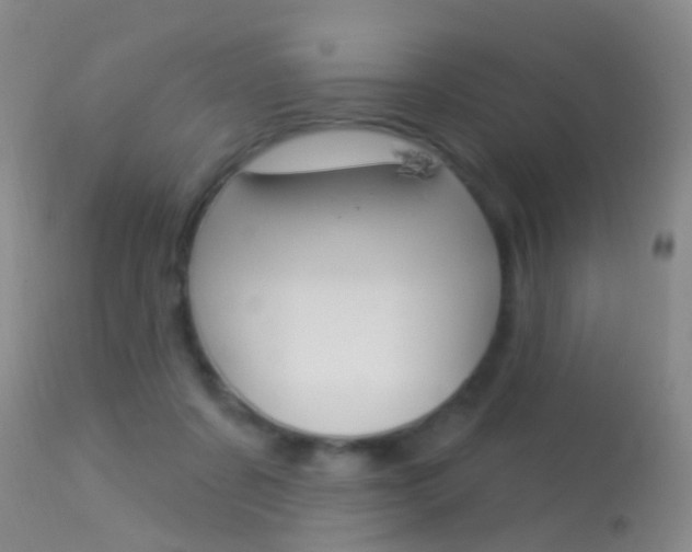 X0000113530311200909181006