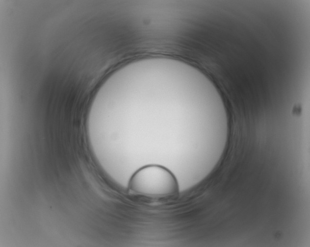 X0000113530312200909181006