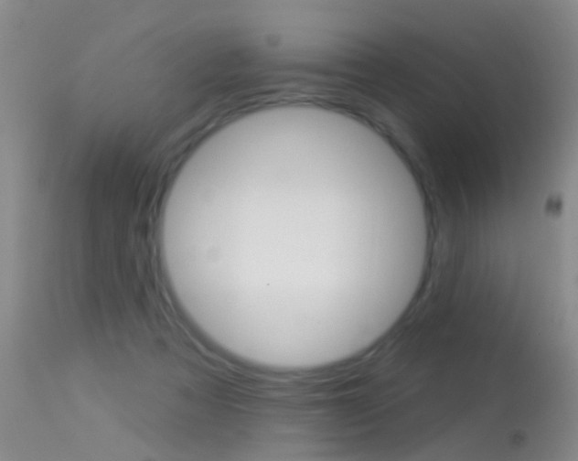 X0000113530313200909181006