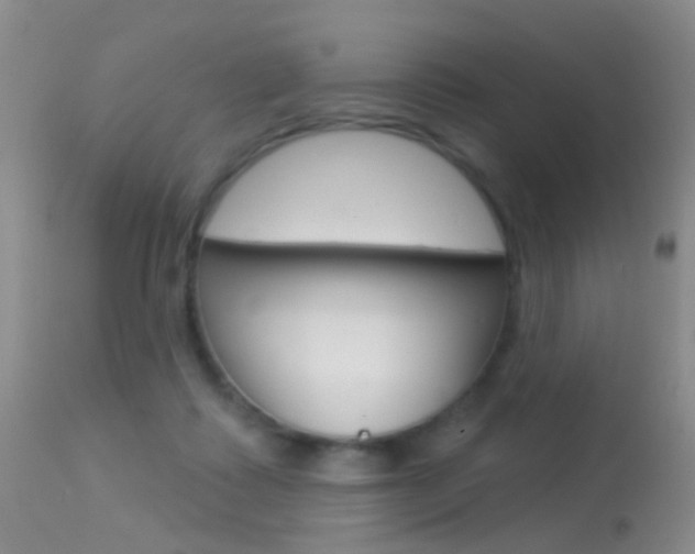 X0000113530315200909181006