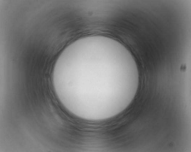 X0000113530316200909181006