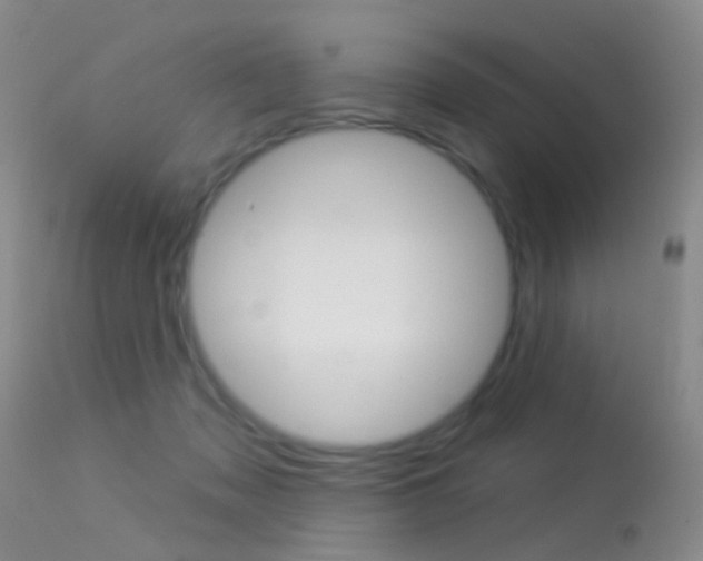 X0000113530317200909181006