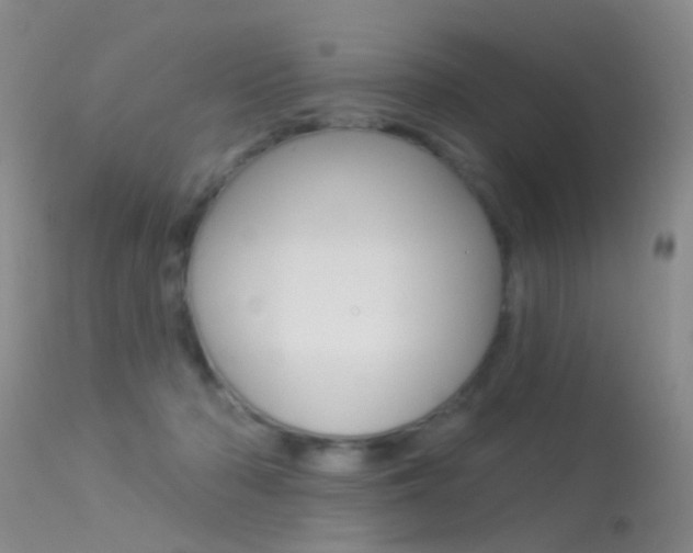 X0000113530318200909181006