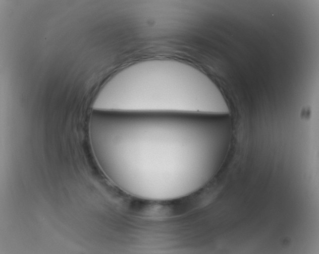 X0000113530319200909181006