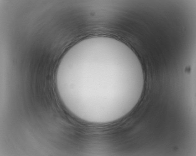 X0000113530320200909181006