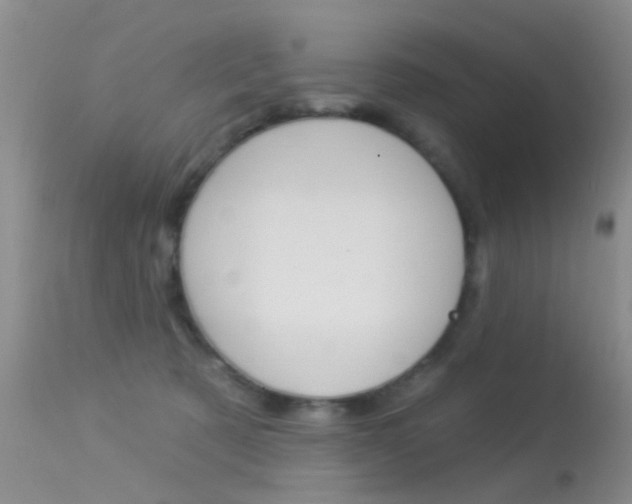 X0000113530321200909181006