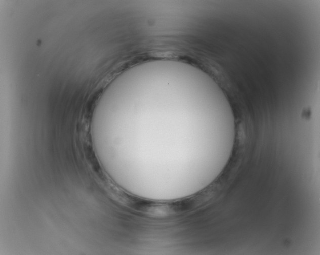 X0000113530322200909181006