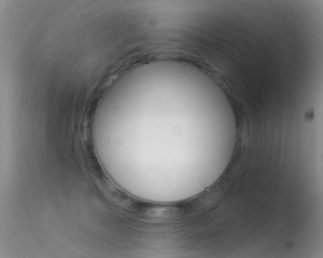 X0000113530323200909181006