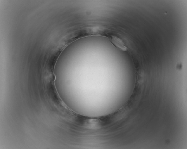 X0000113530324200909181006
