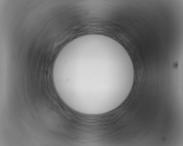 X0000113530327200909181006