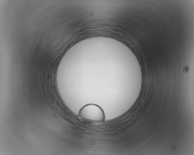 X0000113530328200909181006