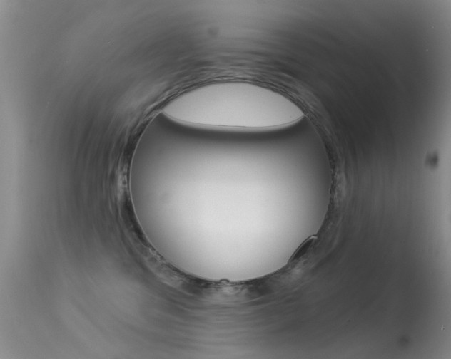X0000113530329200909181006