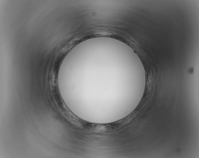 X0000113530330200909181006