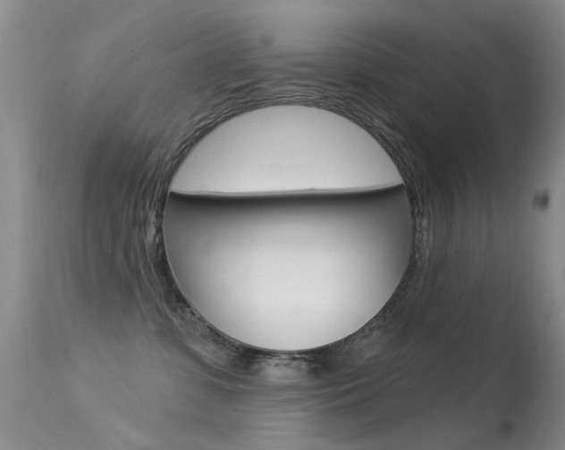 X0000113530331200909181006