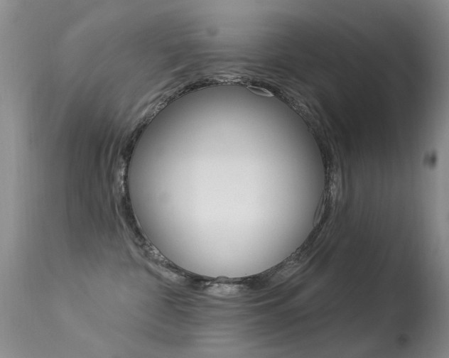 X0000113530332200909181006