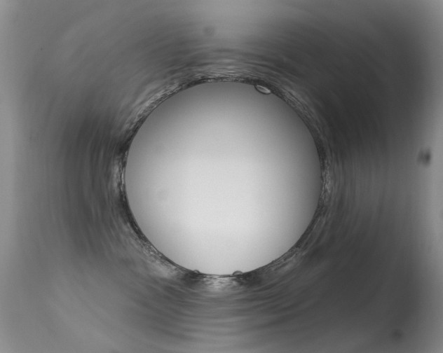 X0000113530333200909181006