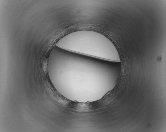 X0000113530335200909181006