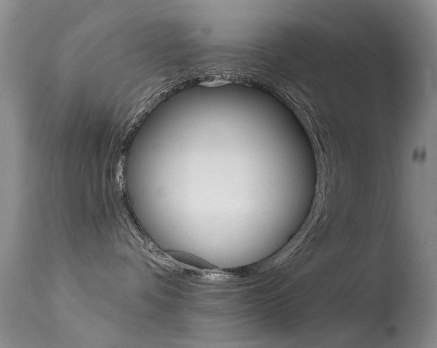 X0000113530336200909181006