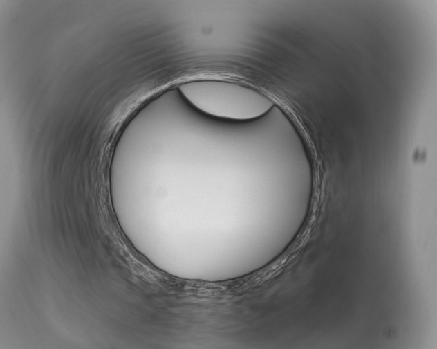 X0000113530337200909181005