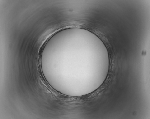 X0000113530338200909181005