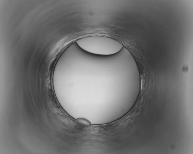 X0000113530339200909181005