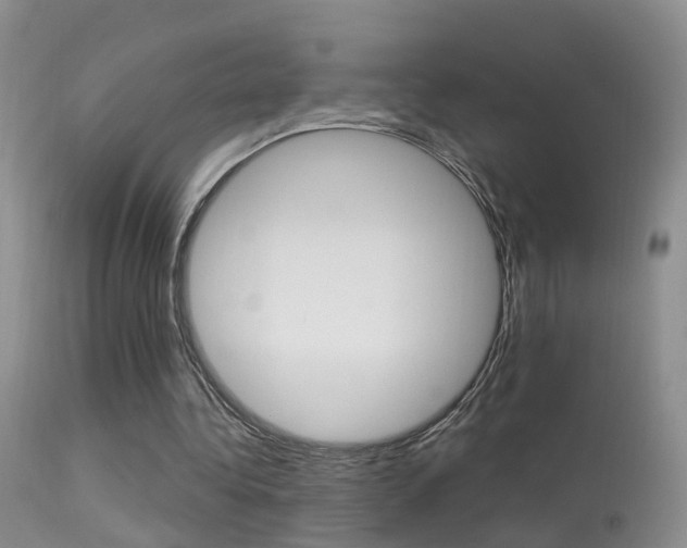 X0000113530340200909181005