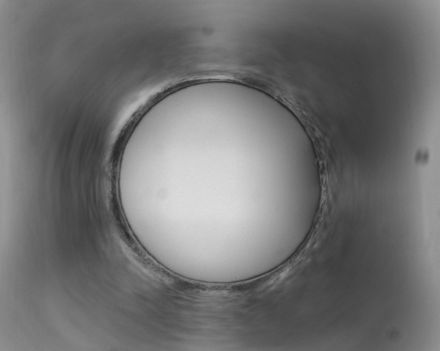 X0000113530342200909181005